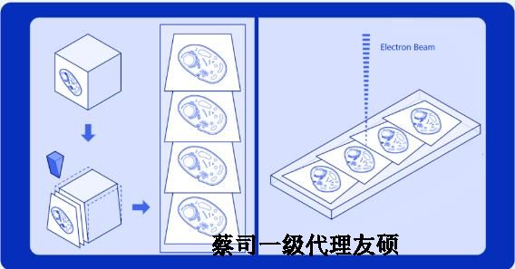 红桥蔡司红桥扫描电镜