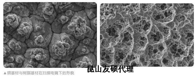 红桥蔡司红桥扫描电镜