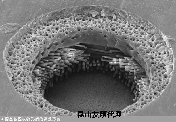 红桥蔡司红桥扫描电镜